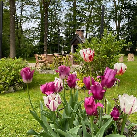 La Villa Emilie Durbuy Bagian luar foto